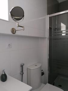 蒙塔吉尔Alojamento Justo - vila de Montargil的浴室设有卫生间和墙上的镜子。