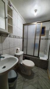 特木科Hostal Las Heras的浴室配有卫生间、盥洗盆和淋浴。