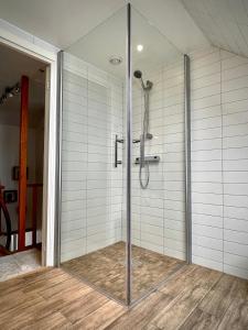 特雷勒堡Trelleborg Central Vila的浴室里设有玻璃门淋浴