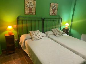 Almendral de la CañadaCasa Rural Luna del Tiétar的配有绿墙和灯具的客房内的两张床