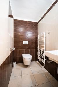 克拉尼斯卡戈拉House Planica的一间带卫生间和水槽的浴室