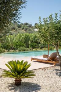 诺托IUTA Glamping & Farm的一个带游泳池和棕榈树的度假村