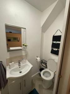 麦克尔斯菲尔德Flat 1 Chestergate的一间带水槽、卫生间和镜子的浴室