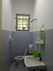 怡保Afamily Homestay的一间带卫生间、水槽和镜子的浴室