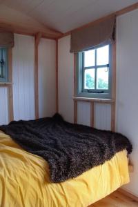 什鲁斯伯里The shepherds hut的一间带床的卧室,位于带窗户的房间内
