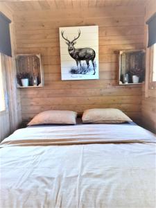 埃尔默洛't Hertje的一张床上,房间里有一副鹿的照片