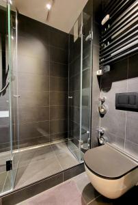 布隆FeWo Höftsee-Blick的一间带卫生间和玻璃淋浴间的浴室