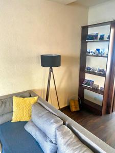 斯皮什新村Luxury apartment in city center的客厅配有带黄色枕头的灰色沙发