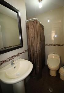 伊洛HOSTAL CORAL的一间带水槽、卫生间和镜子的浴室
