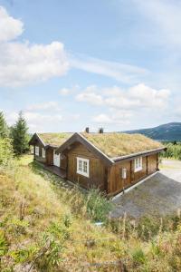 特吕西尔ReveEnka - cabin in Trysil with Jacuzzi for rent的草屋顶木屋