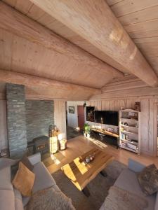 特吕西尔ReveEnka - cabin in Trysil with Jacuzzi for rent的带沙发和壁炉的客厅