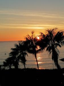 丰沙尔Shearwaters - Sounds of the sea的日落时分海滩上的两棵棕榈树