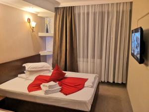 布什泰尼克拉西克旅馆的一间设有红色枕头的床的客房