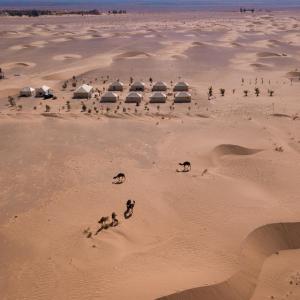 梅尔祖卡Beldi camp的一群在沙漠中行走的动物