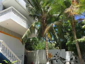 圣安德烈斯Casona La Carolina的两棵棕榈树在房子前面