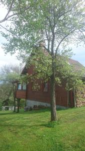 BozkovskaChata s bazénem Bozkov的前面有一棵树的房子
