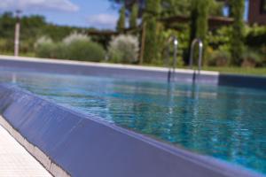 索维奇勒里尼迪亚生物旅馆的一座蓝色的游泳池