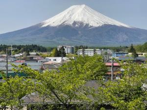 富士吉田市Megu Fuji 2021的相册照片