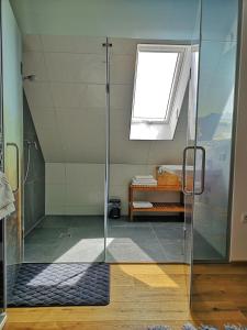 绍萨尔地区基策克Weingut Albert, Familie Cramer的浴室里设有玻璃门淋浴