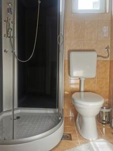 佐洛卡罗斯BM Apartman的带淋浴和卫生间的浴室
