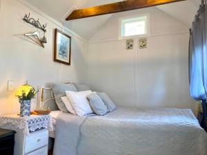 陶朗加Thistle and Pine Cottage Farmstay的一间小卧室,配有床和窗户