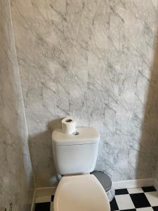 布莱克浦Riversvale Hotel的浴室设有卫生间,上面有卫生纸卷