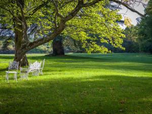 塞雷拉龙德瑞泽城堡酒店的两把白椅子坐在田野的树下