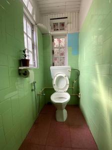 大吉岭Basnet Apartment的绿色浴室设有卫生间和窗户