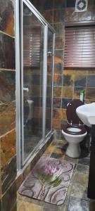 圣卢西亚St Lucia At Home的带淋浴、卫生间和盥洗盆的浴室