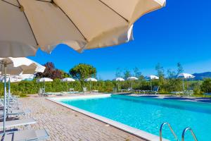 皮昂比诺Glamping Gli Etruschi的一个带遮阳伞和椅子的游泳池以及一个游泳池