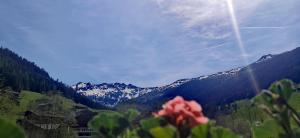 阿尔卑巴赫Alpbach Loft的红花的山脉景色