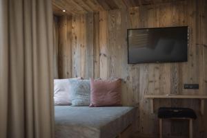 圣坎迪朵Hotel Andermax的一间卧室配有电视和一张带枕头的床。