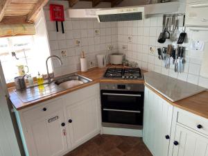 莱姆里吉斯Dolphin Cottage Lyme Regis的小厨房配有炉灶和水槽