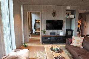 FavangNew and fresh apartement in Kvitfjell的带沙发和电视的客厅