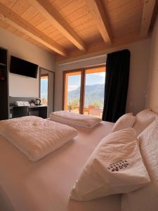 特伦托Agriturismo Margone的一间卧室设有两张床和大窗户