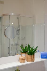 比比翁Hotel Renania的浴室设有镜子和台面上的植物