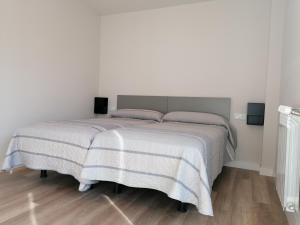 埃斯皮纳尔奥泽皮利Casa Patxikuzuria的一间卧室配有一张大床和两个枕头