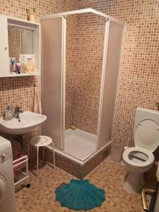 兹沃格谢Apartment Tomic的带淋浴、卫生间和盥洗盆的浴室