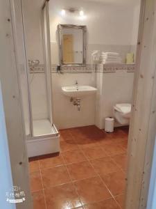 阿特斯特坦Pension Artstetten的一间带水槽、卫生间和镜子的浴室