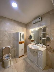维拉弗兰卡宾纳戴斯Hostel Penedes的一间带卫生间和水槽的浴室