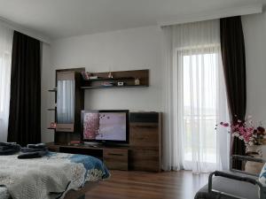 克卢日-纳波卡Aparthotel Laura的一间卧室配有一张床和一张桌子上的电视