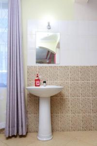 蒙巴萨SERENE 4 BEDROOMED HOME IDEAL FOR FAMILY HOLIDAY的一间带水槽和镜子的浴室