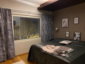 库奥皮奥Tasokas lomahuoneisto Tahko Spa Black 2mh的一间卧室设有一张床和一个窗口