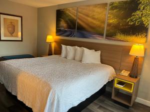 代顿戴顿戴斯酒店的酒店客房设有一张床,墙上挂有绘画作品