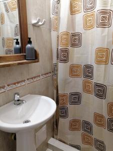 莱瓦镇Popichi Hostel的一间带水槽和淋浴帘的浴室