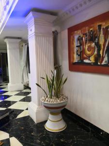 科托努RESIDENCE PALAIS DU STADE的一间有花瓶的房间,里面装有植物