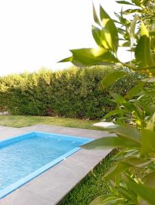 伊察Exclusiva casa de campo en Condominio La Hacienda - Ica的植物庭院中的游泳池