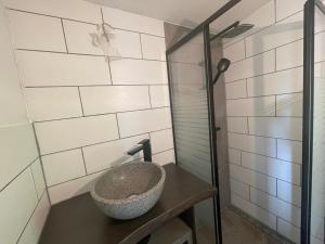 UnterwellenbornSaale-Residenz的一间带石质水槽和淋浴的浴室