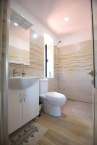 佩尔梅特The Mosaic House - Shtepia me Mozaik的浴室配有卫生间、盥洗盆和淋浴。