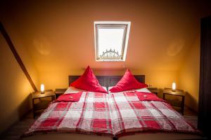 DrebachFerienhof Kürschner的一间卧室配有一张带红色枕头的床和一扇窗户